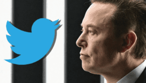 What has changes at Twitter since Elon Musk took over